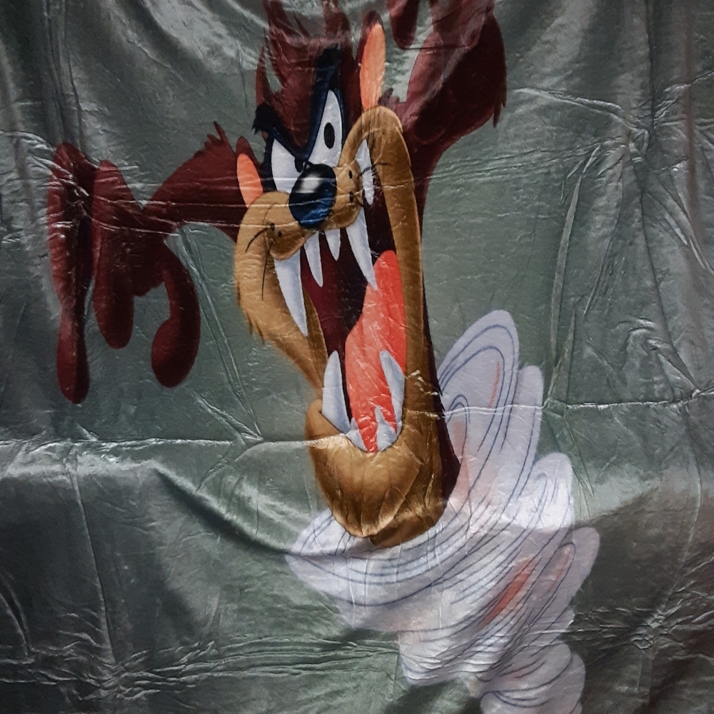 Warner Brothers NEW Looney Tunes Tazmanian Devil Large soft blanket